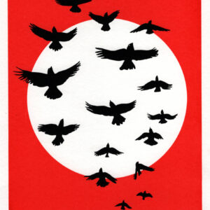 The Language of Birds 1
